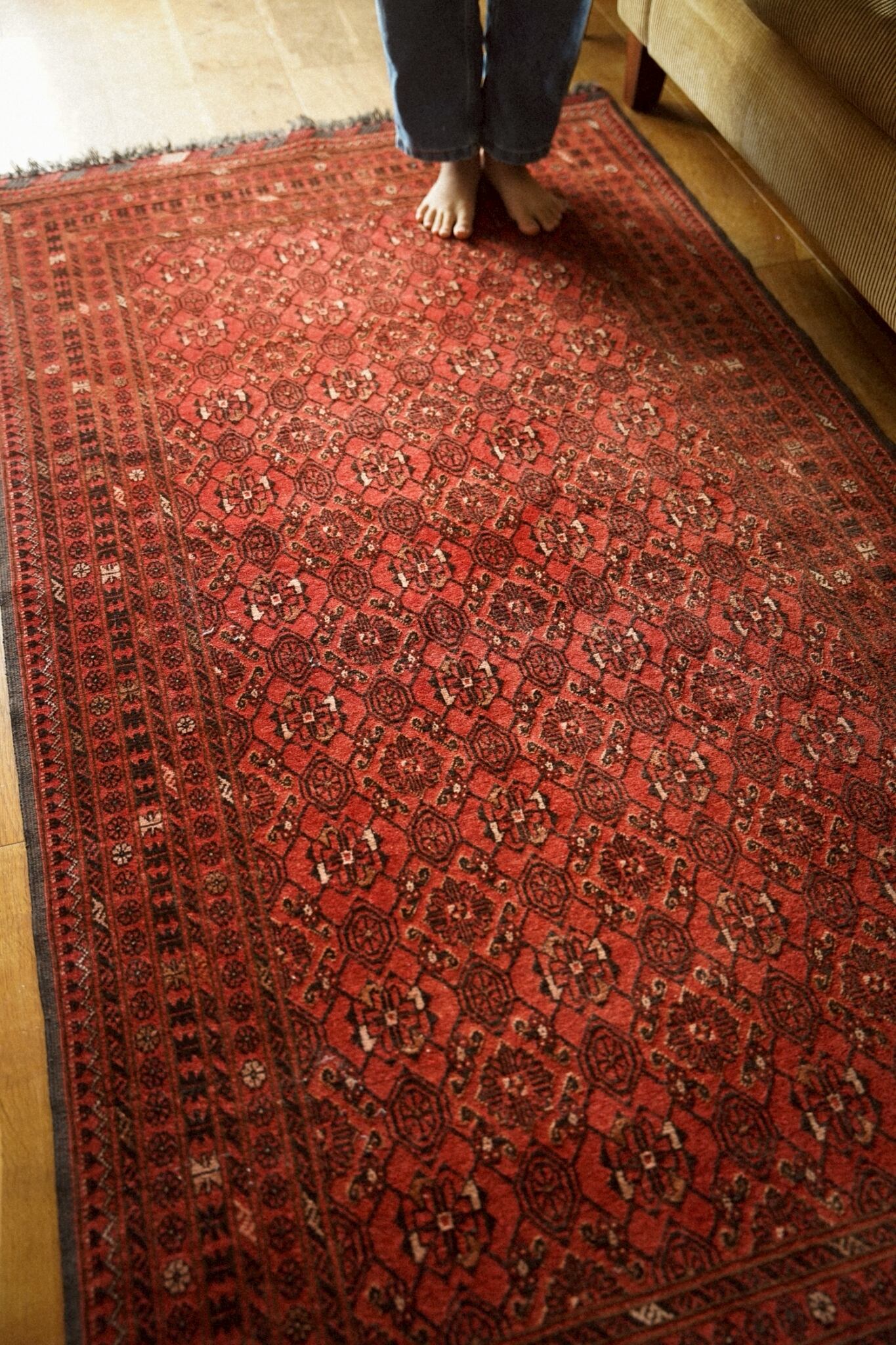 1481-Vintage Turkmen Bashiri  rug