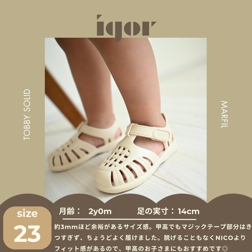 【即納/送料無料】igor / TOBBY SOLID / MARFIL