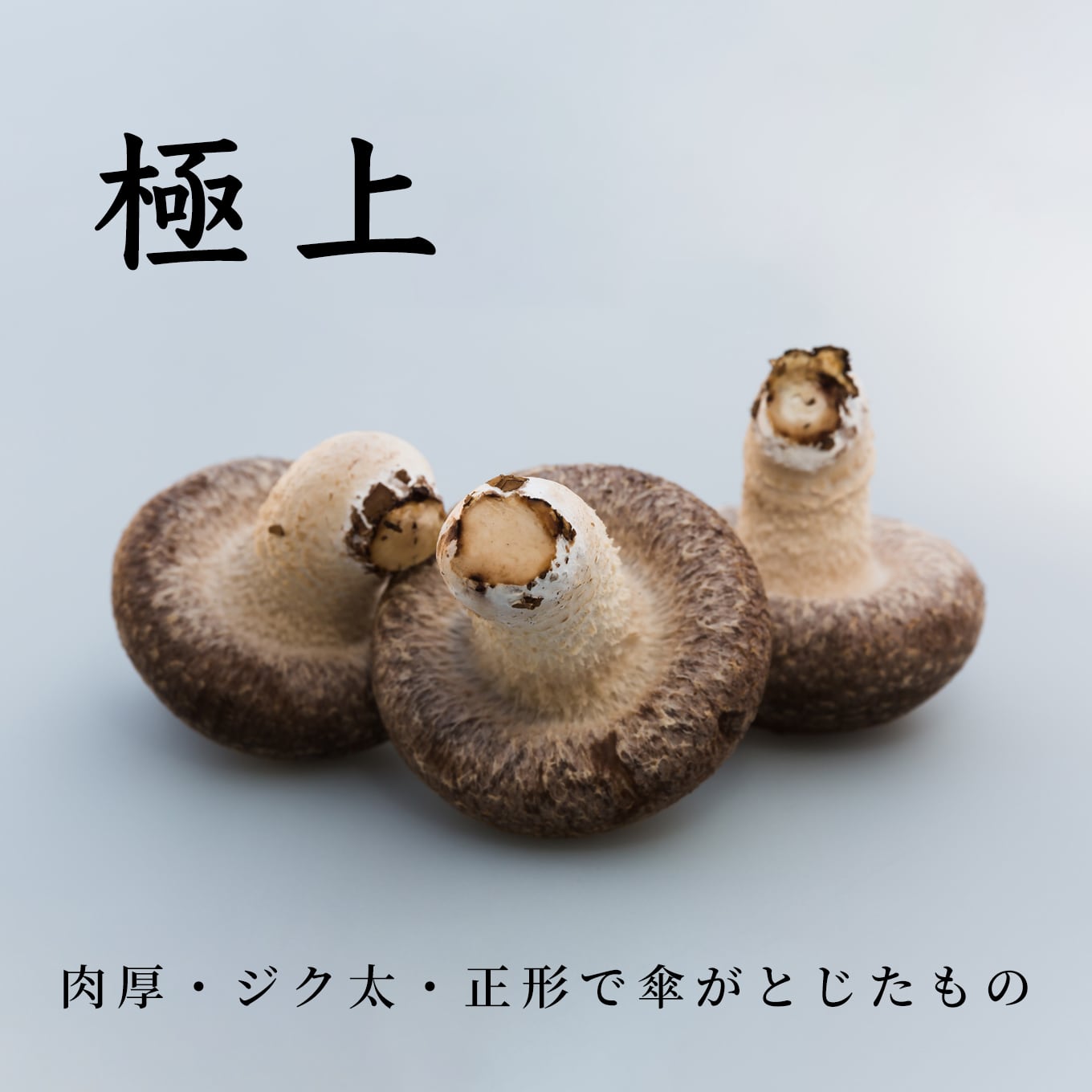 極上】椎茸とソーセージのセット | 佐倉きのこ園ネットショップ