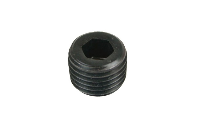 1/4NPT Blind bolt