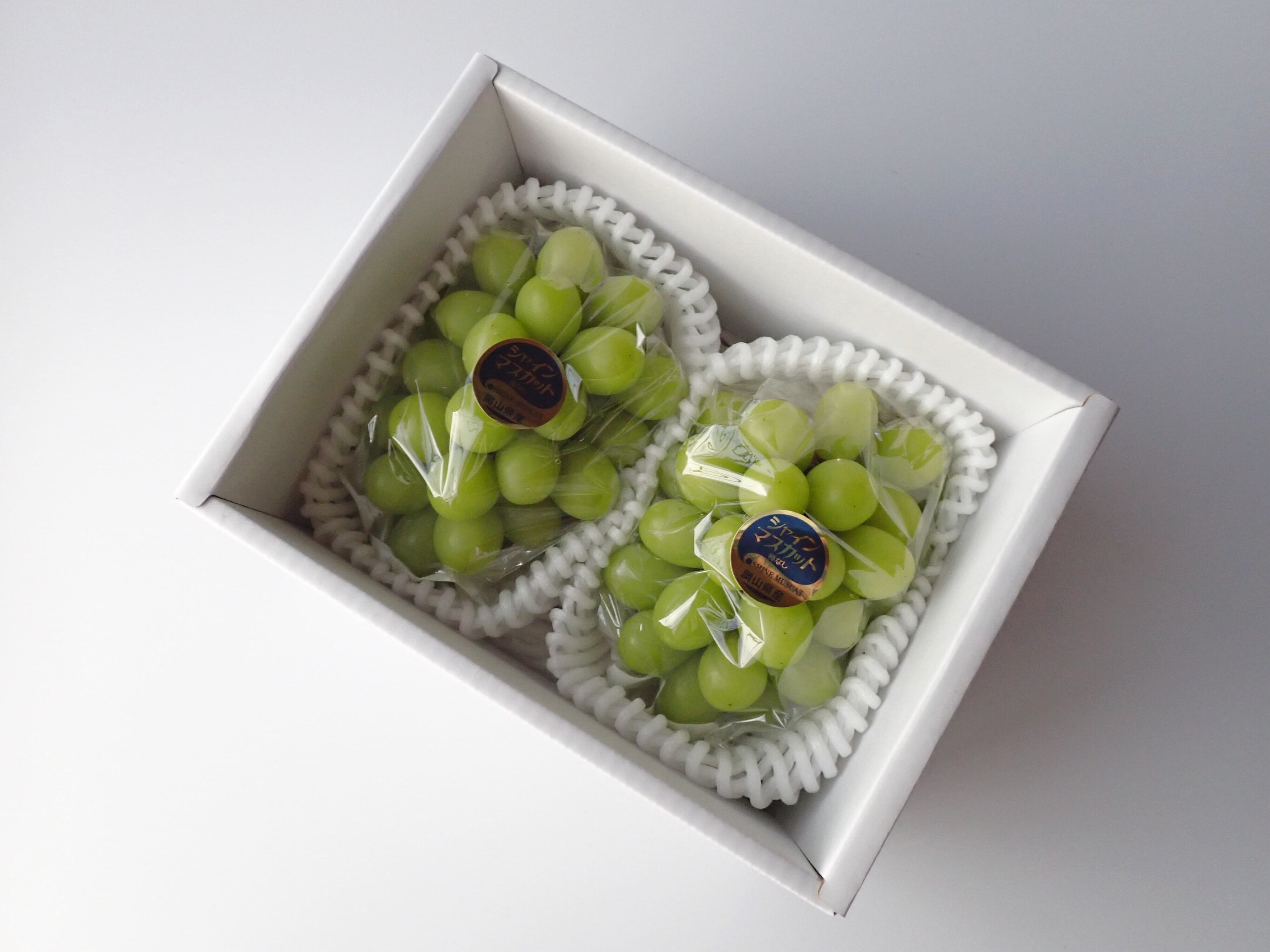 [9月上旬から発送]そこそこ規格 シャインマスカット(内容量　2房、約1.1kg)