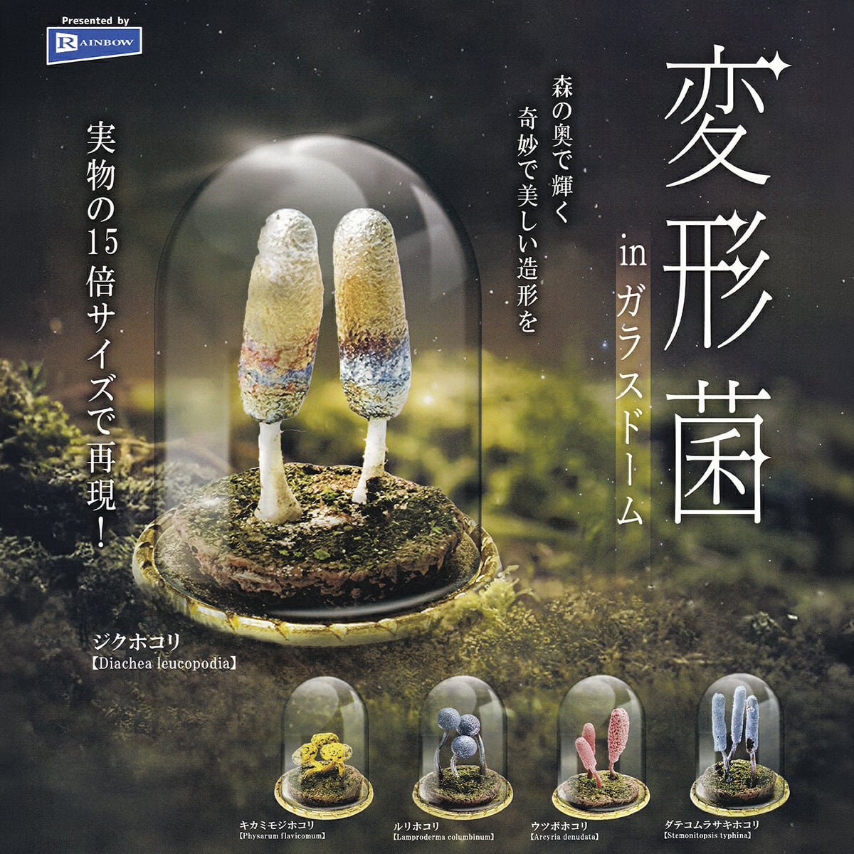 フルコンプ】 変形菌inガラスドーム 【全5種セット】 レインボー Slime