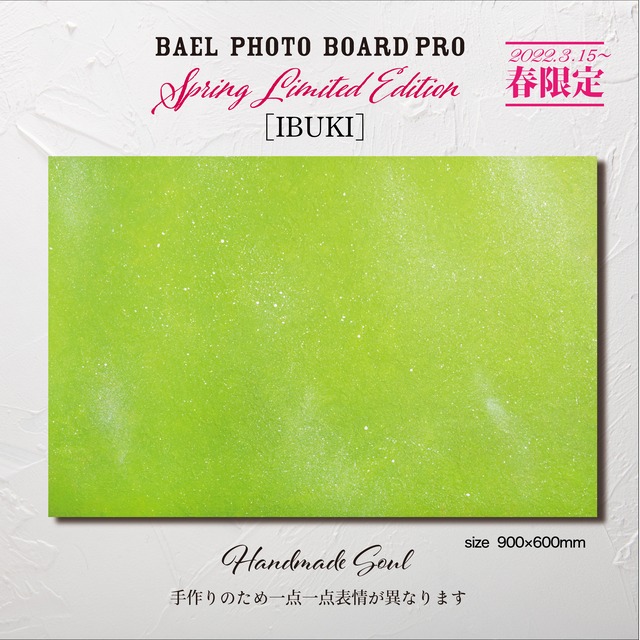 期間限定販売❗️BAEL PHOTO BOARD PRO〈IBUKI〉