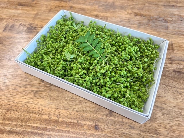 冷蔵発送 夢農場 実山椒 200g 長野県産 | 夢農場 BASE店