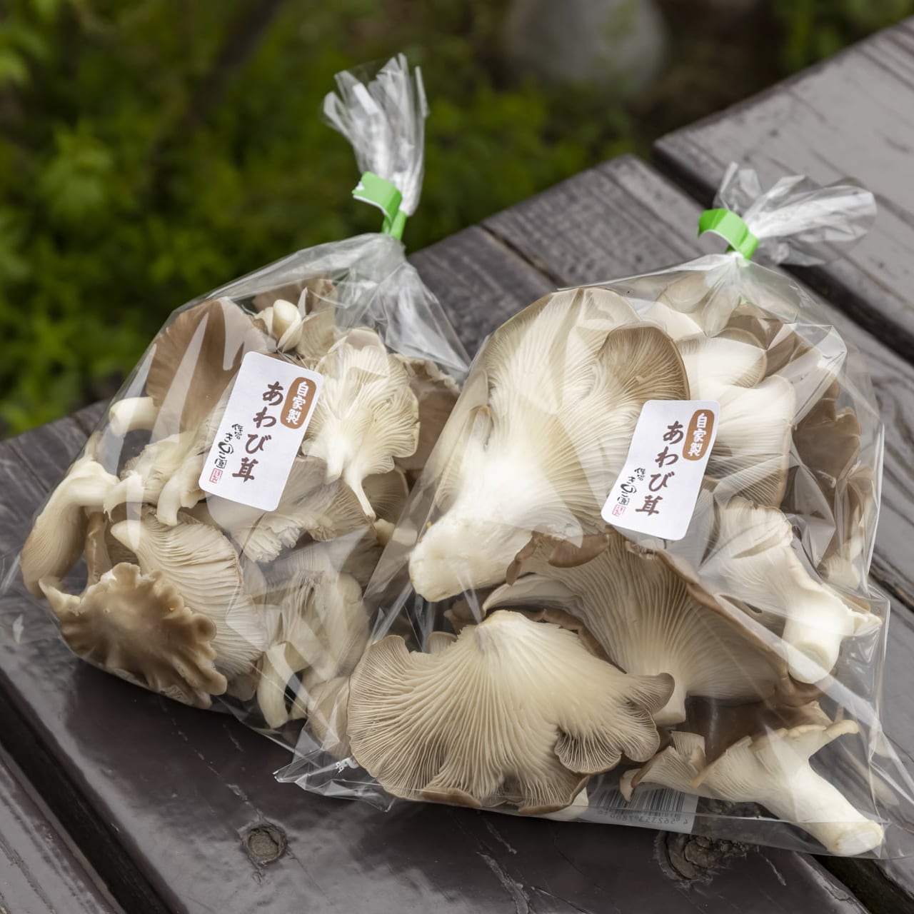 あわび茸（150g） | 佐倉きのこ園ネットショップ