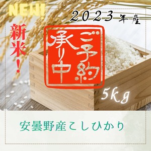 【令和5年産】長野県安曇野産こしひかり5kg