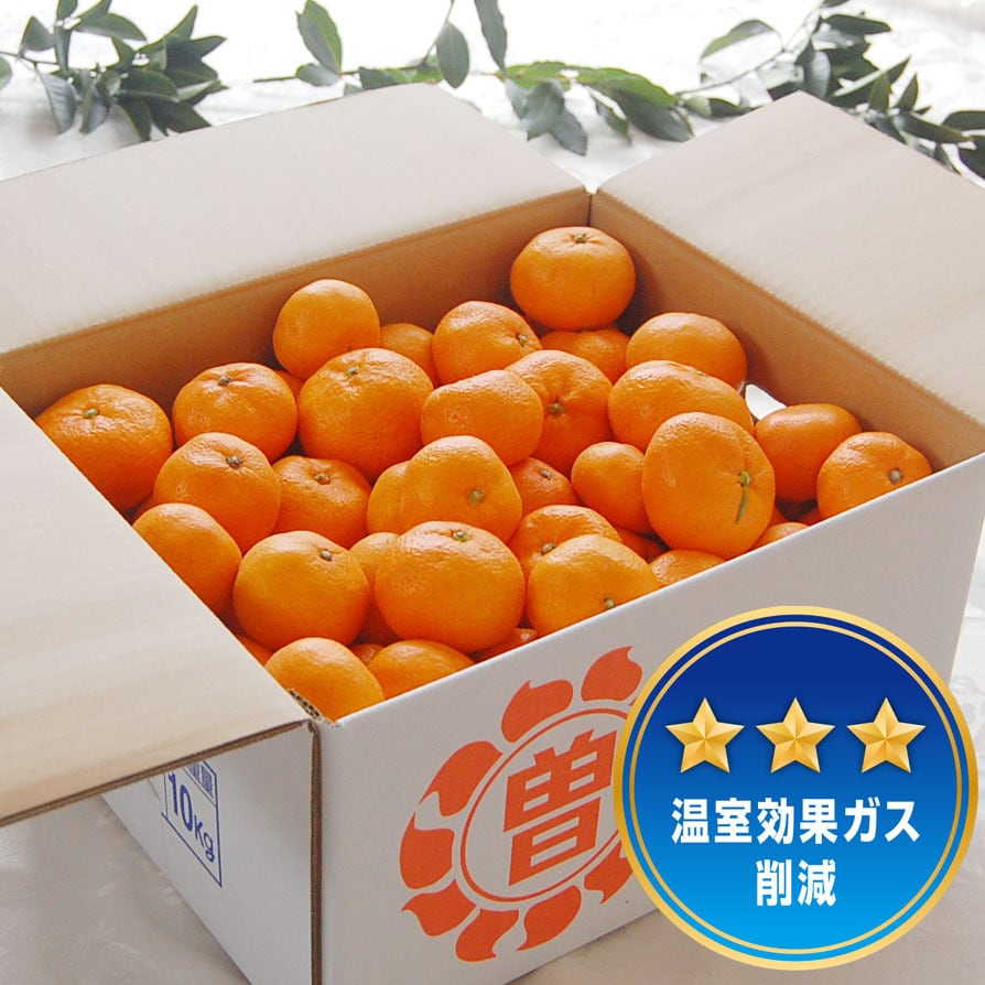 温州みかん 10kg | 曽根花卉 SONEKAKI