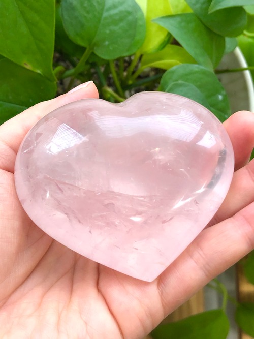 奇跡とときめきのローズ