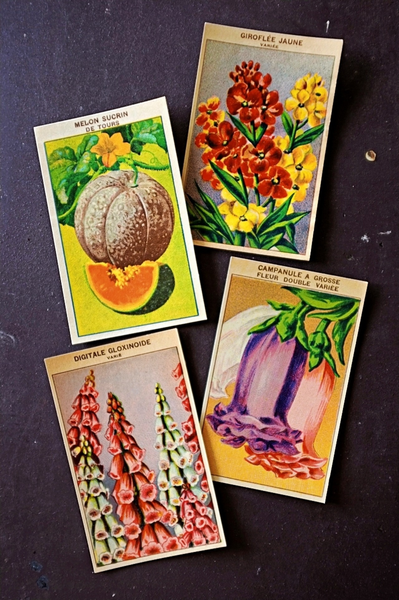 20s フランス 4set 膨満な花々と野菜たち 種子袋用ラベルy アンティーク