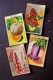 20s フランス 4set 膨満な花々と野菜たち 種子袋用ラベルy アンティーク