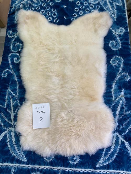 ミルクラムムートン_2025_No.02（2025_白）