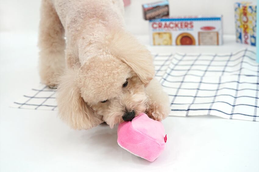 multi-tap toy / ペット 犬 おもちゃ 知育玩具 ノーズワーク おやつ隠し 可愛い わんちゃん おもちゃ  ストレス解消