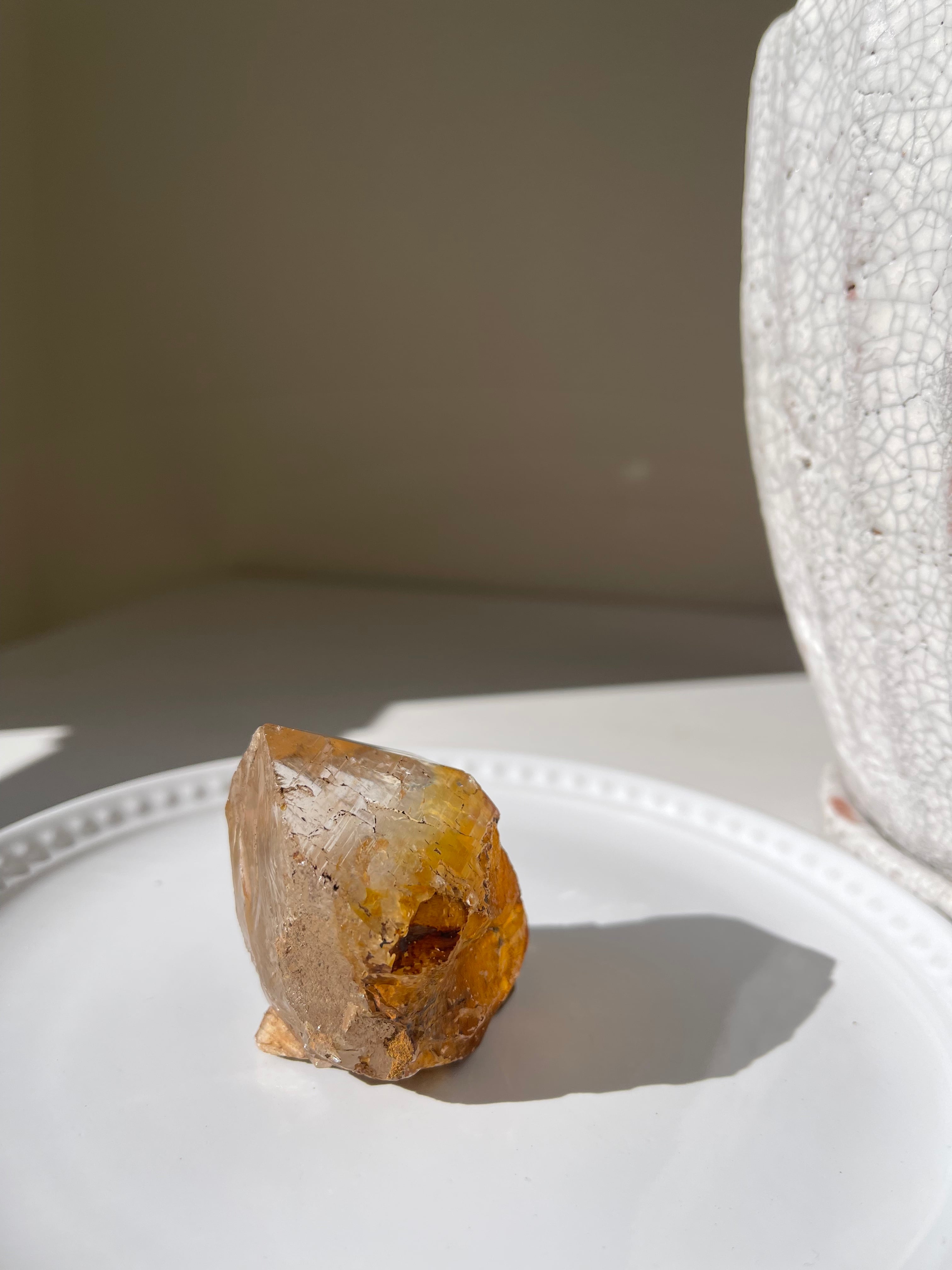 Ganesh Himar Golden Healer / ガネーシュヒマールゴールデンヒーラー