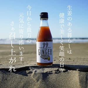 お得な３本セット【FRAM MADE】99 craft GINGER SYRUP 300ml