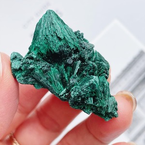 Velvet Malachite 2