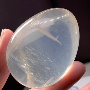 7.ジラソルたまご(大)