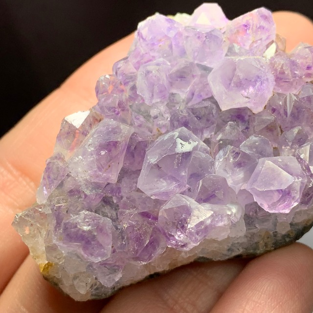 2.ウルグアイ産アメジストクラスターに住み着いているフローライトハリネズミさん