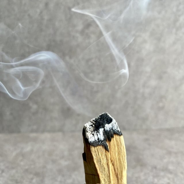 GLOSOME パロサントスティック 50g | 瀬尾商店