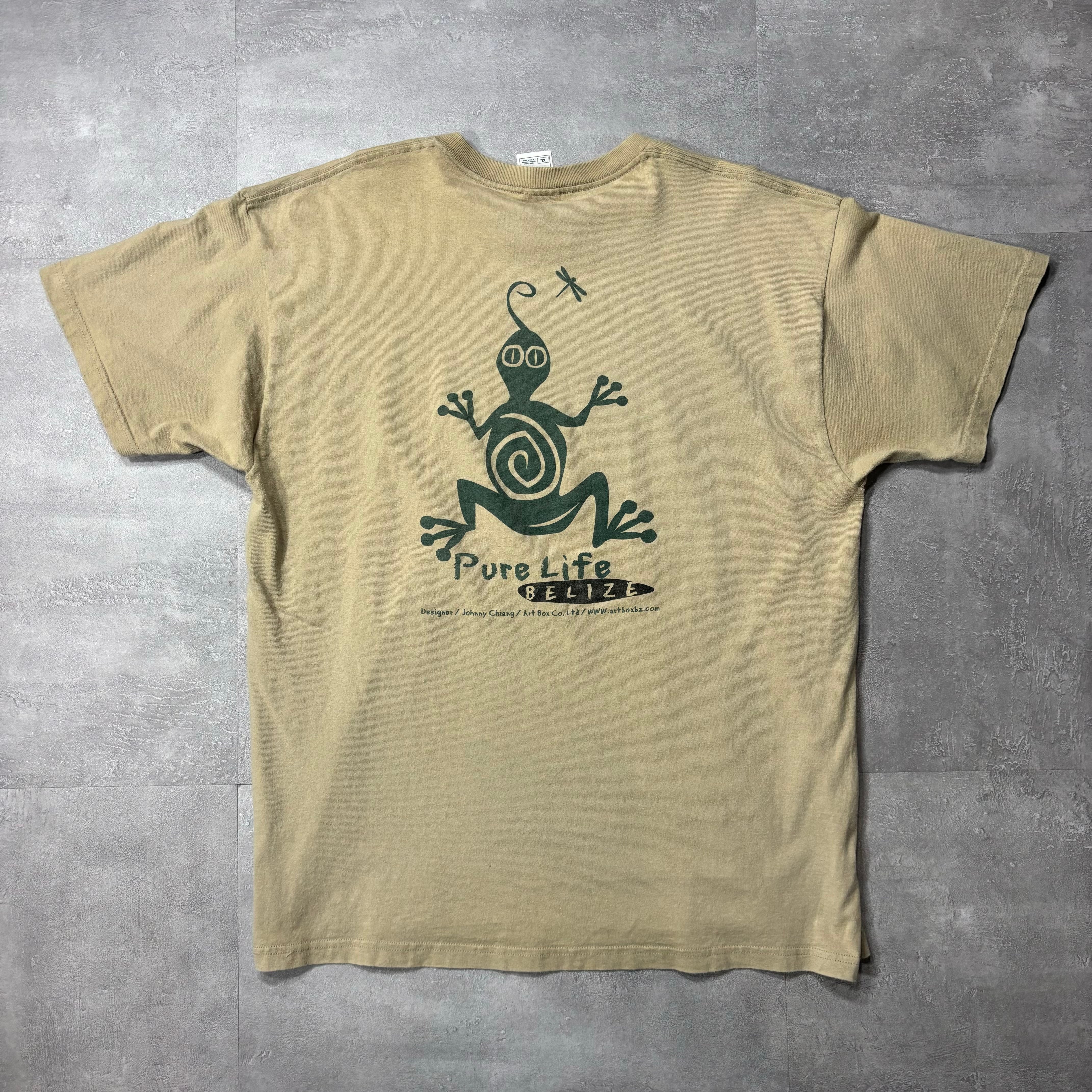 《XL》fruit of the room フルーツオブザルーム Tシャツ usa製 カメレオン no.3791