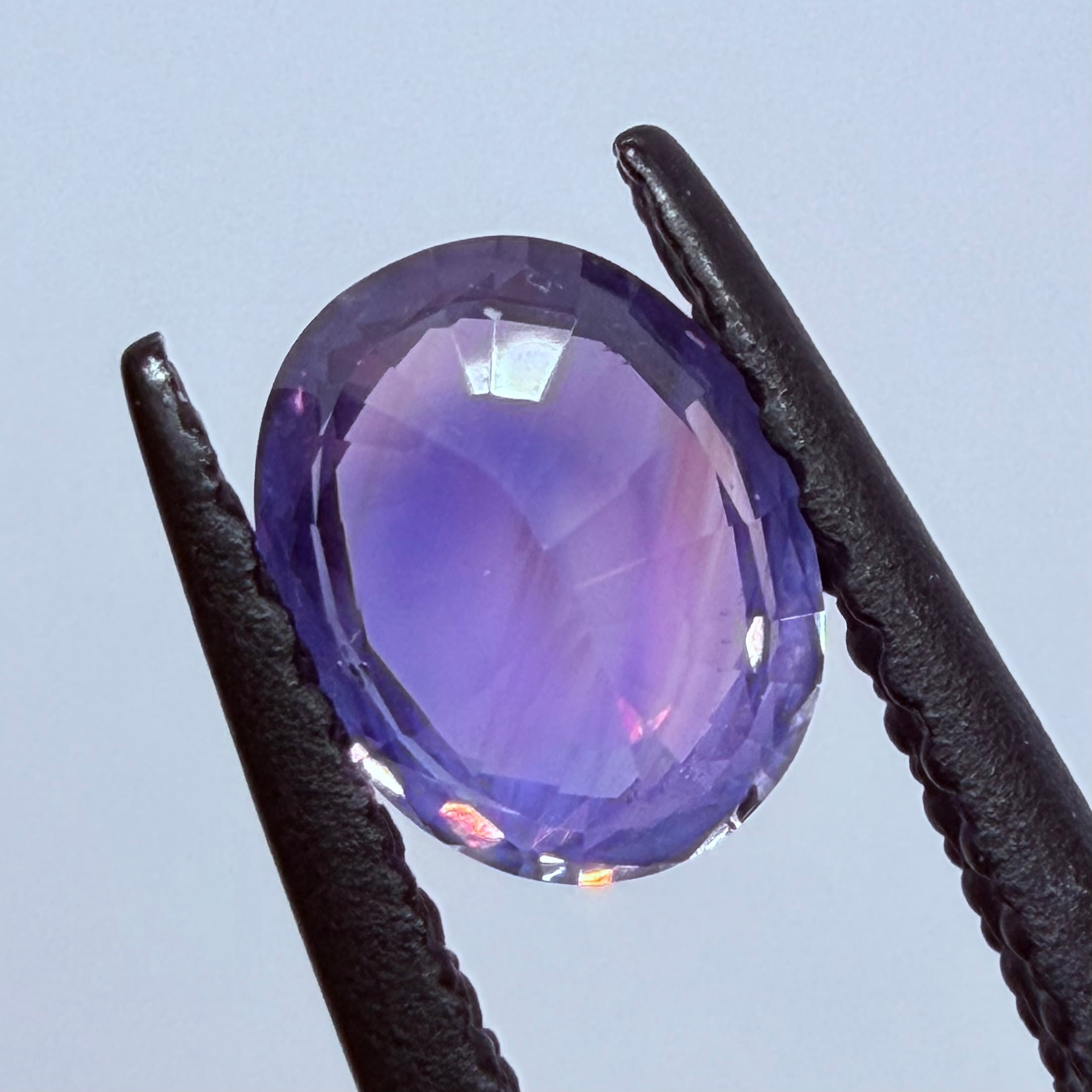 夜明けサファイア