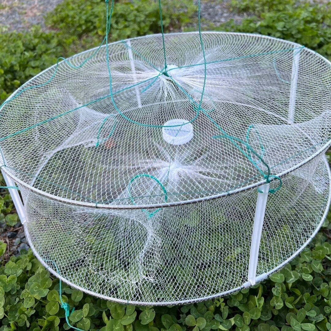 釣具 白網 持ち運び可能 小魚トラップ アジ 小魚 川魚 カニ エビ 釣具 白網 持ち運び可能 小魚トラップ アジ 小魚 川魚 カニ エビ