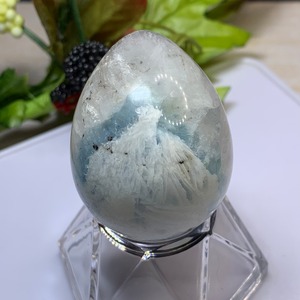 T39.エンジェルフェザーフローライト たまご