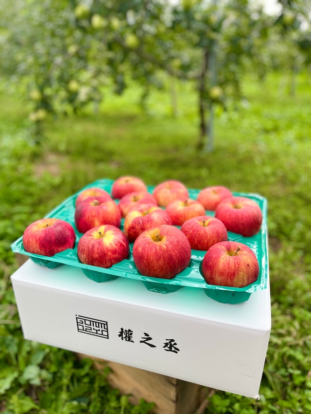 葉取らずつがる家庭用 5㎏ 【12~20個】