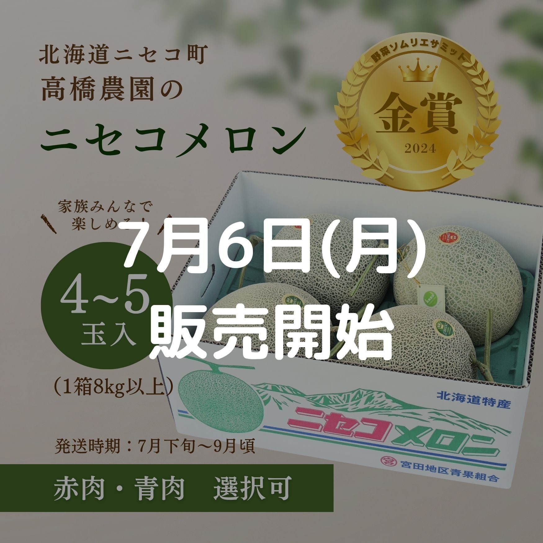 メロン4～5玉＜色指定可＞＜7月下旬～9月通常発送＞ | 北海道ニセコ町