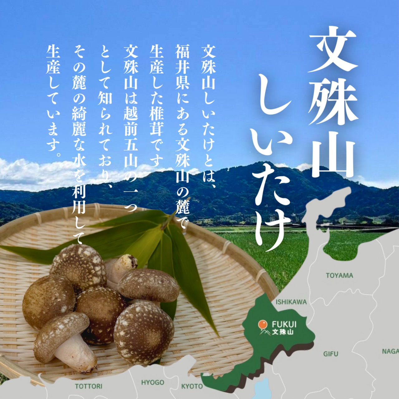 文殊山干しいたけ どんこ（70g）