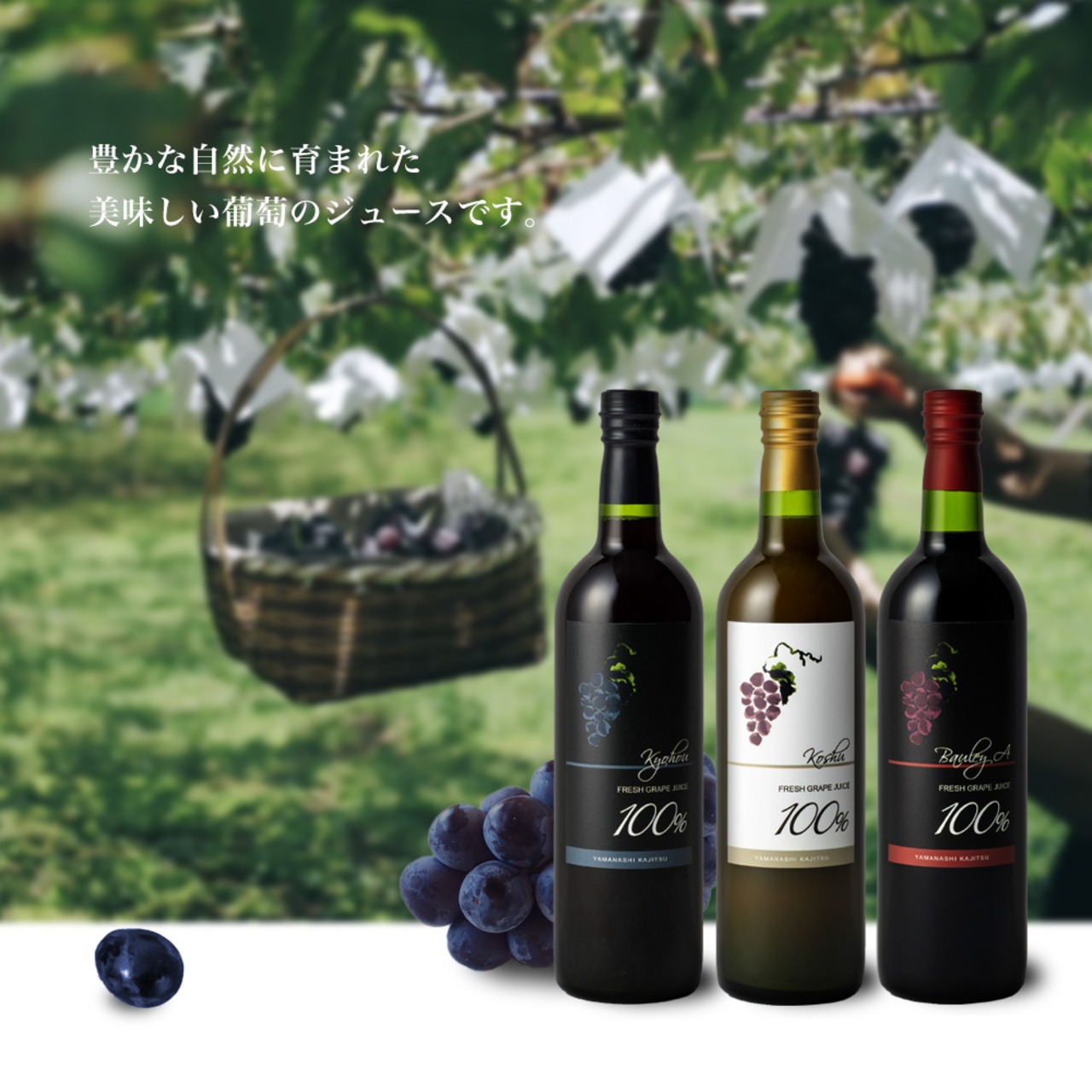 山梨果実 プレミアムライン 甲州RED