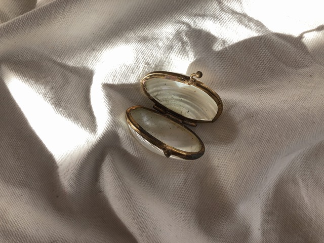 FRANCE 1800s-1900s Mother of Pearl  Petit Rosary case