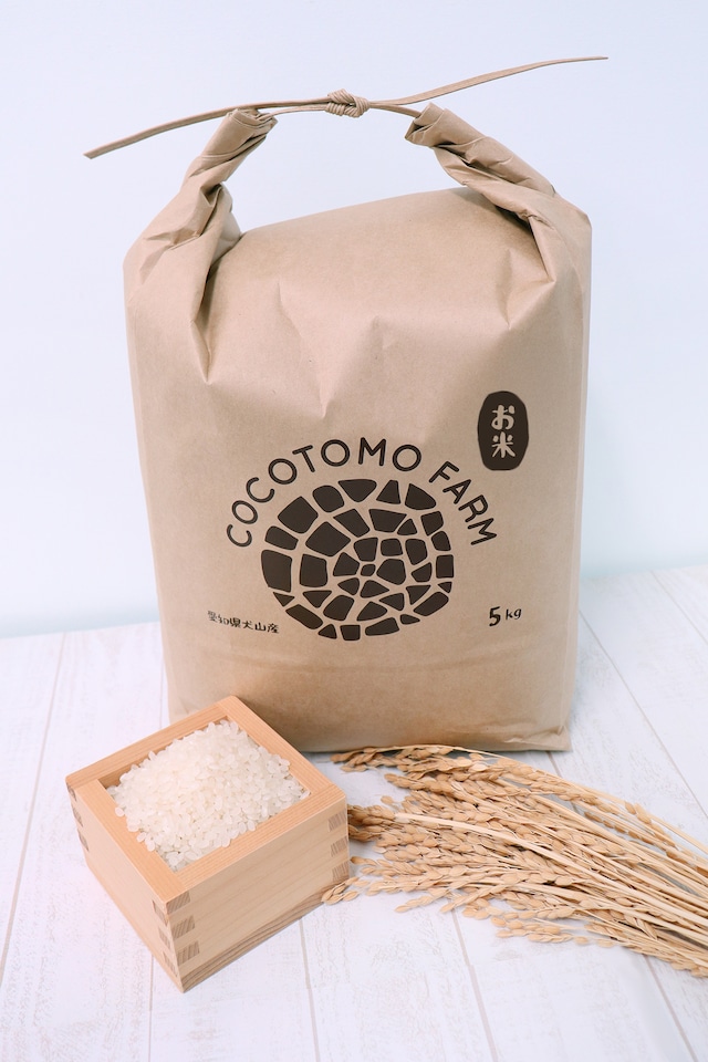 【令和7年度産】愛知県犬山産 お米「あいちのかおり」5kg|ココトモファーム【農家直送】
