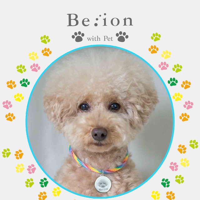 With Pet ペットタグ