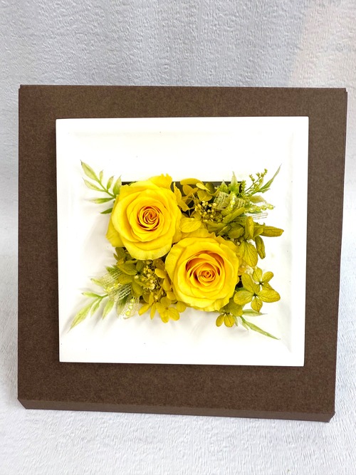 正方形 yellow 画像