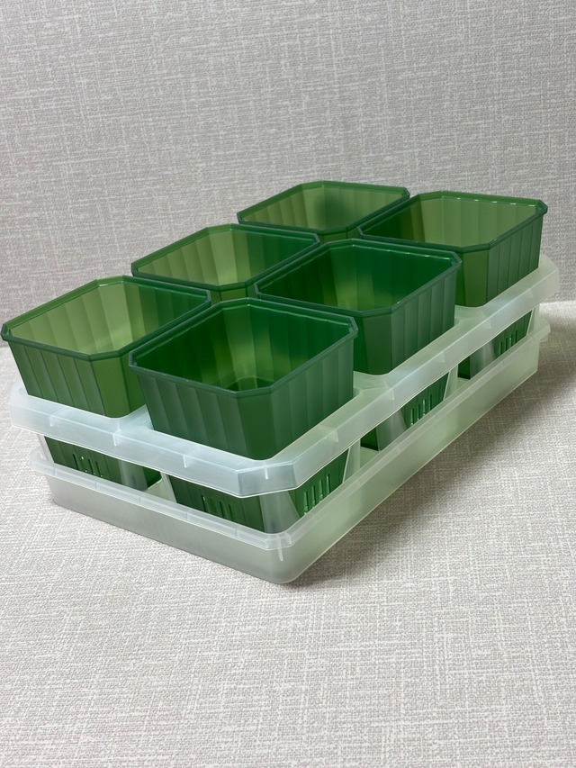 【C1】9.5㎝浅ルータルスリット　  グリーンセット　皿付き　