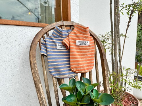 【ZooBico】予約販売　ハイネックボーダーTシャツ（全2色）