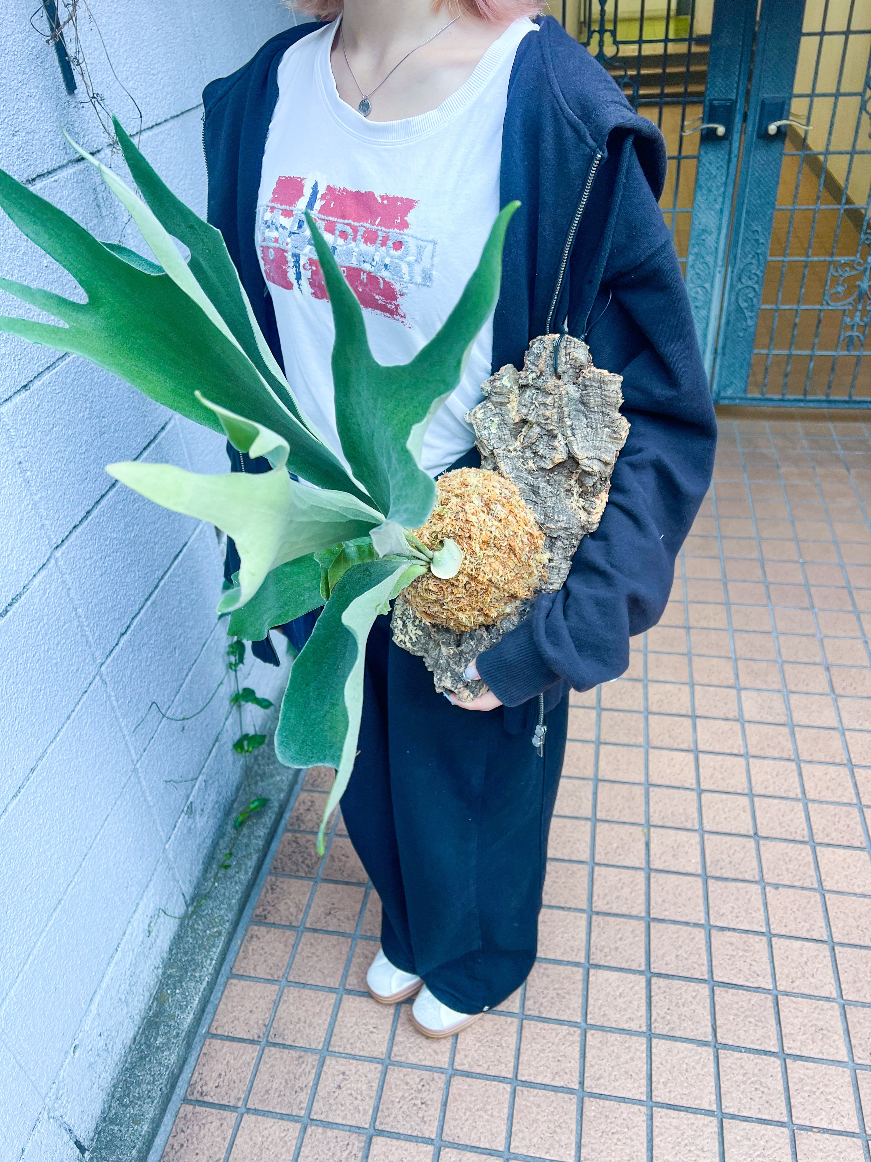 板付け・ハンギング | hananona