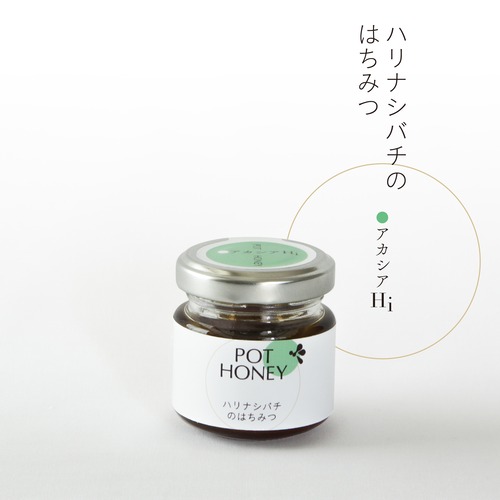 【賞味期限2024.07末】ハリナシバチの蜂蜜　　POT HONEY　アカシアH.i　40g