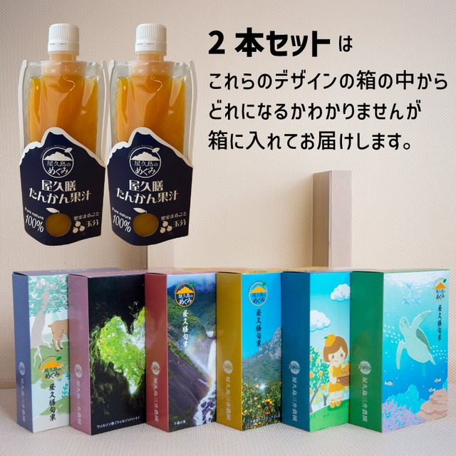 屋久島産 長寿木たんかん100％ストレートジュース 180ml ２パックセット箱入り｜ビタミンたっぷり贈り物に最適な生搾り果汁