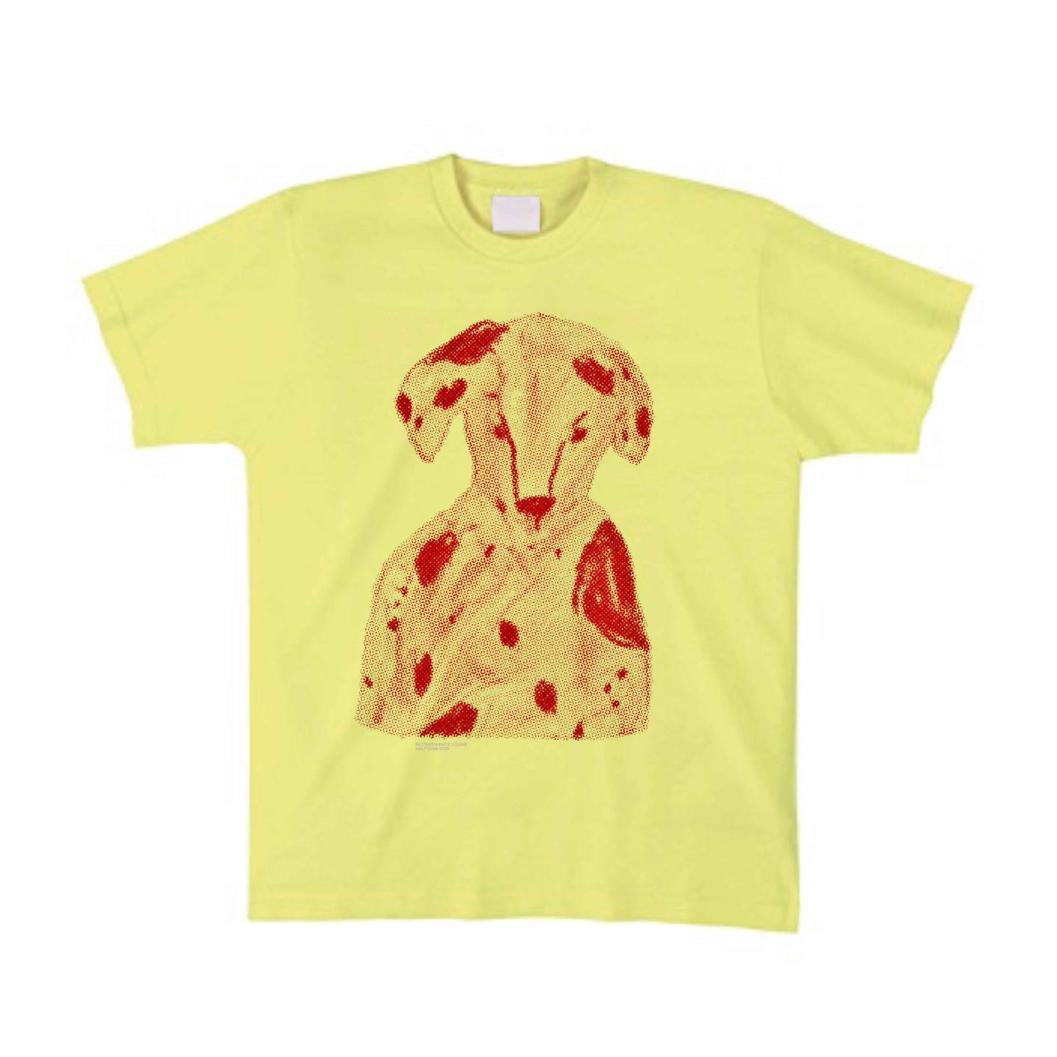 Language of flowers tee | CONVENIENCE YOUNG