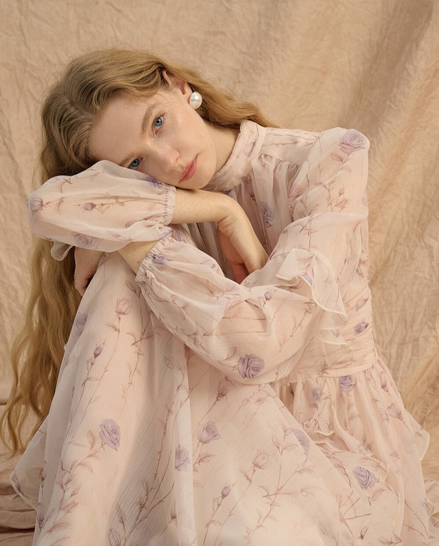 Iris Chiffon Dress
