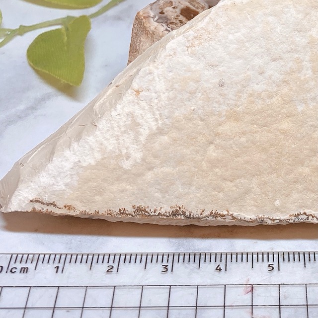 T16 しのぶ石 しのぶ石 デンドライト Dendrite クリスタル ワールド五反田toc店 T16 しのぶ石 しのぶ石 デンドライト Dendrite クリスタル ワールド五反田toc店