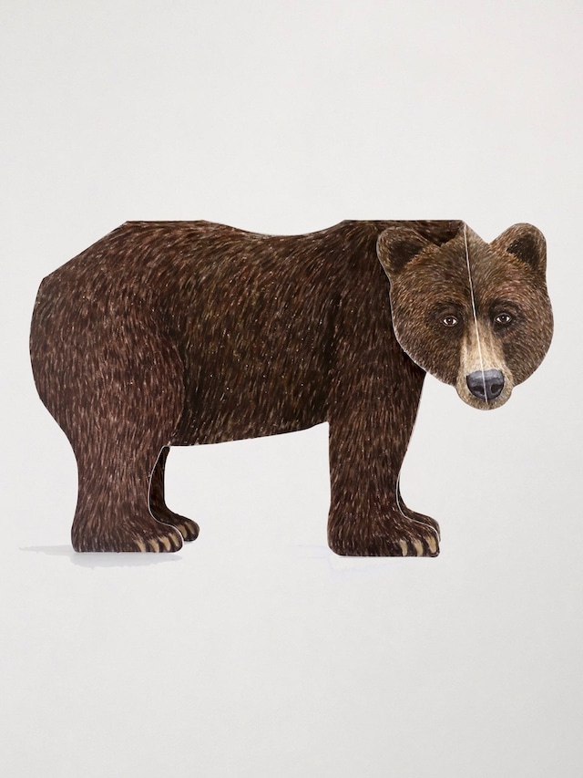 3D 立体グリーティングカード「クマ」 / 3D Animal Folding Card "Bear"