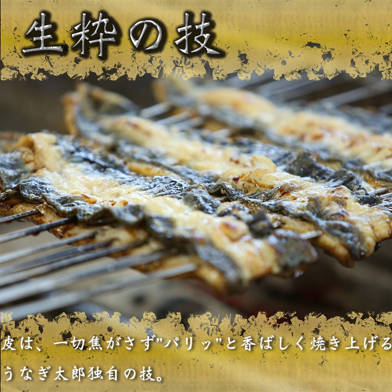 うなぎ蒲焼 6尾 | 【公式】うなぎ太郎｜鹿児島県うなぎ専門店