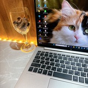 準極美品/HP Elitebook 830 / i7第12世代/最新2022年式/メモリ16GB/SSD512GB/ノートパソコン