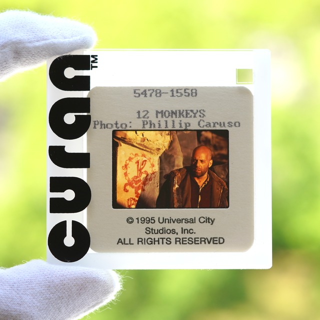 1995 / 12 Monkeys / Positive film with case / 66x66 mm【SL00000254006】
