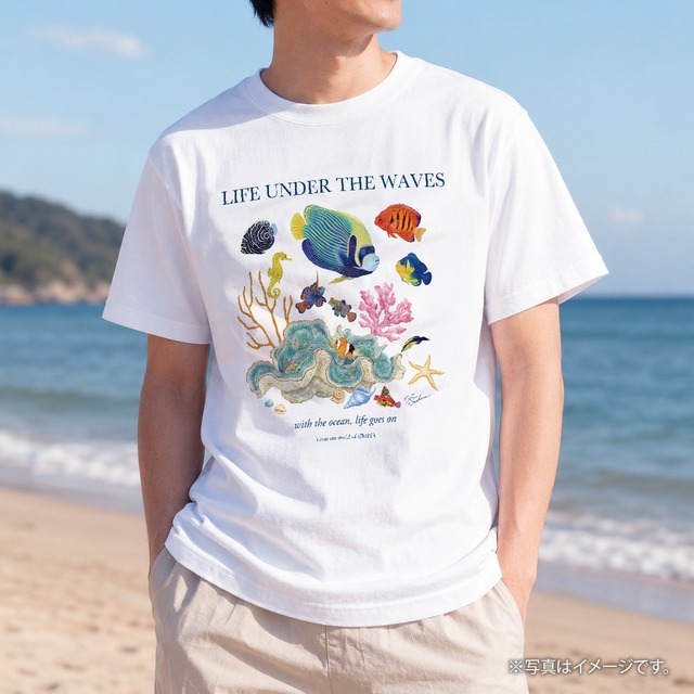 海の生きもの半袖Tシャツ（タテジマキンチャクダイ）｜LIFE UNDER THE WAVES Model-11