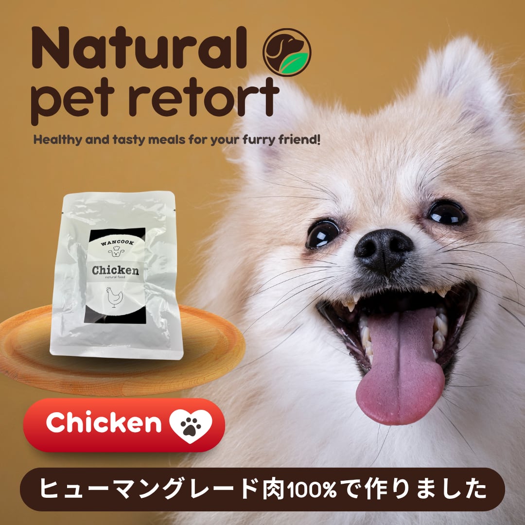 毎月1回お届け!鶏むね肉のレトルト 10個セット