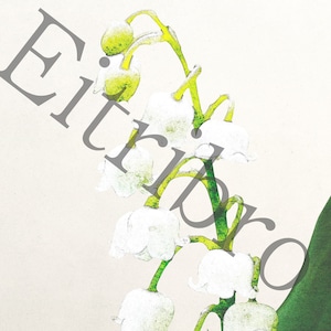 アートポスター / Kielo　eb092