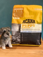 ACANA パピー＆ジュニア　２KG